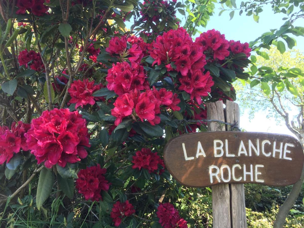 La Blanche Roche Bed & Breakfast Sourdeval Luaran gambar
